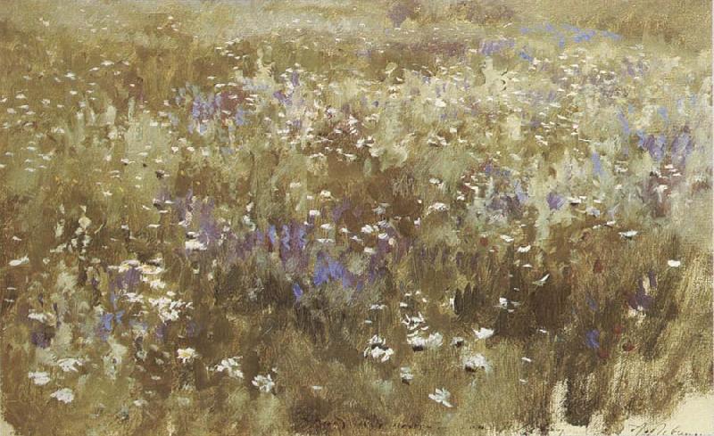 Levitan, Isaak Bluhende meadow Norge oil painting art